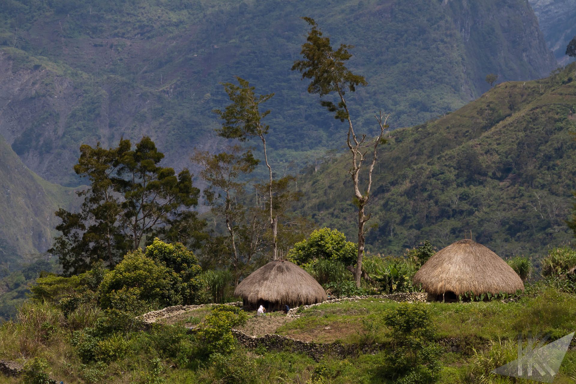 Papua