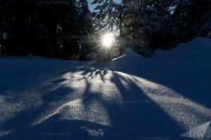 20170119Seibelseckle0008