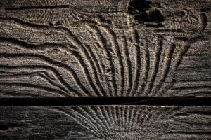 002 20190331 Rheinauen 0002