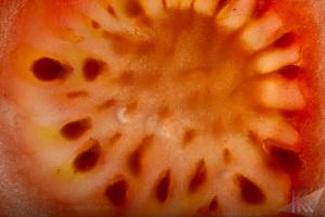 IMG 0655