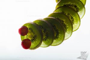 IMG 0556