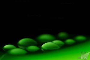 Tropfen 20130413 24