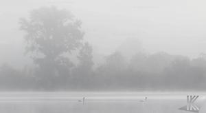 20161016Fermasee 0125