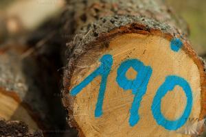IMG 20130401-0018