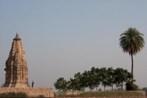 040 IMG 7579