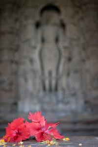 041 IMG 7602
