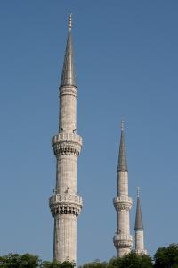 016 IMG 0368