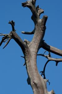 019 IMG 0564