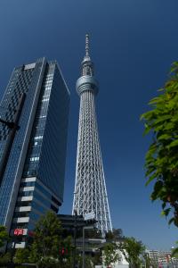 001 JP 7932