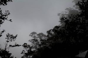 IMG 4249