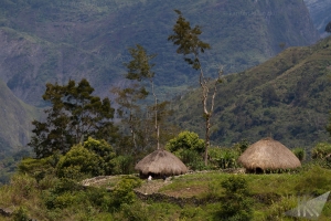 Papua