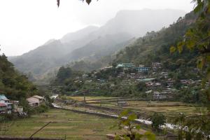 017 IMG 0672