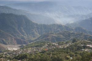 019 IMG 0785