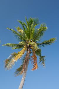 097 IMG 4225