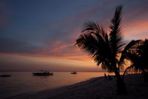 100 IMG 4625