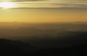 024 65 044a